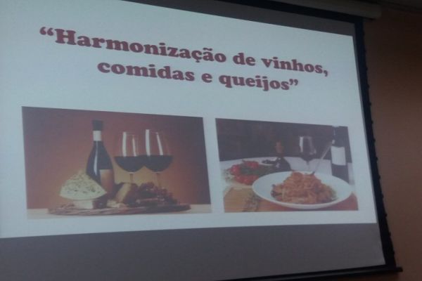 Harmonização de vinhos com comidas e queijos